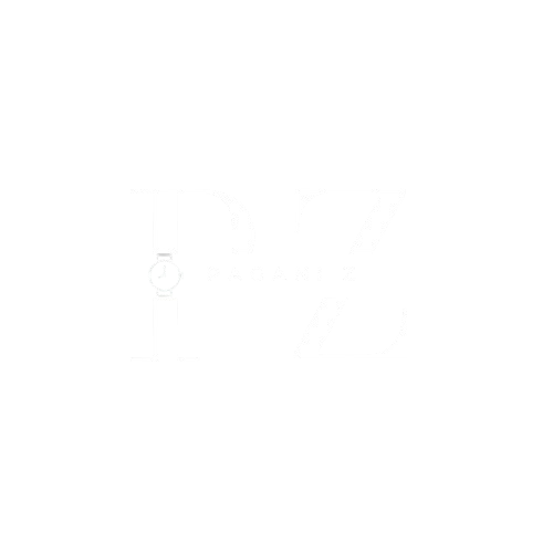 pagani-z.com